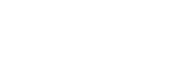 transworkproject-logo-w